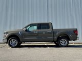New 2025 Ford F150 XLT w/ Equipment Group 301A Standard image 2