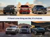 New 2025 Ford Expedition Active image 3
