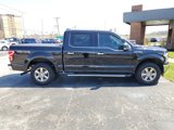 Used 2019 Ford F150 XLT w/ Equipment Group 302A Luxury image 6
