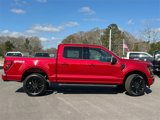 New 2025 Ford F150 XLT image 5