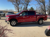Used 2019 Ford F150 XLT w/ Equipment Group 302A Luxury image 6
