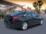 Used 2024 Cadillac CT4 Premium Luxury w/ Climate Package image 3