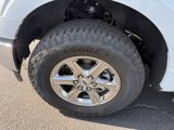 Used 2024 Ford F150 XLT w/ Mobile Office Package image 5