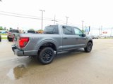 New 2025 Ford F150 STX image 3
