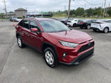 Used 2021 Toyota RAV4 XLE image 2