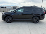 Used 2025 Honda Pilot TrailSport image 6