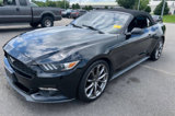 Used 2015 Ford Mustang Premium w/ Equipment Group 201A image 2