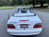 Used 2000 Mercedes-Benz CLK 430 Cabriolet image 3