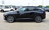 New 2026 Hyundai Tucson Limited image 5