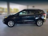 Used 2017 Ford Escape SE w/ Equipment Group 201A image 4
