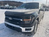 New 2025 Ford F150 XLT w/ Equipment Group 302A MID image 4