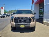 New 2025 Toyota Tundra TRD Pro image 3