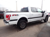 Used 2015 Ford F150 XLT w/ Equipment Group 302A Luxury image 6