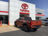 New 2025 Toyota Tacoma TRD Off-Road image 5