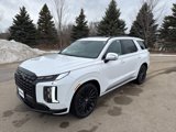 New 2025 Hyundai Palisade Calligraphy image 3