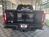 New 2025 Ford F250 Platinum image 5