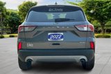 Certified 2022 Ford Escape SEL image 4