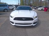 Used 2015 Ford Mustang Convertible w/ Equipment Group 051A image 2