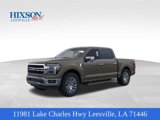 New 2025 Ford F150 Lariat image 1