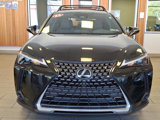 Used 2025 Lexus UX 300h FWD image 2