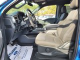 New 2025 Ford F150 STX w/ Equipment Group 200A image 4