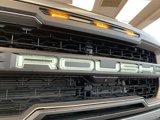 New 2025 Ford F150 XLT w/ Equipment Group 302A MID image 3