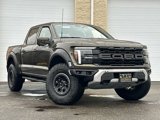 New 2025 Ford F150 Raptor image 2
