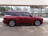 New 2025 INFINITI QX80 Sensory w/ Premium Cargo Package image 4