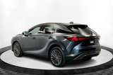 Used 2025 Lexus RX 450h AWD w/ Convenience Package image 3
