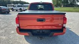 Used 2017 Toyota Tacoma TRD Sport w/ Premium & Technology Package image 4