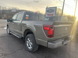 New 2025 Ford F150 XLT w/ Equipment Group 302A MID image 4
