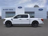 New 2025 Ford F150 STX w/ STX Black Appearance Package image 3