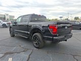 New 2025 Ford F150 STX w/ Equipment Group 201A FX4 image 5