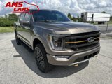 Used 2022 Ford F150 Tremor w/ Equipment Group 402A High image 3