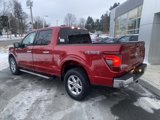 New 2025 Ford F150 XLT w/ Equipment Group 302A MID image 3