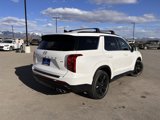 New 2025 Hyundai Palisade XRT image 5