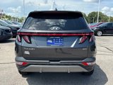 Used 2024 Hyundai Tucson Limited image 4
