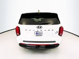 New 2025 Hyundai Palisade Calligraphy image 6