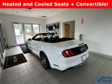 Used 2017 Ford Mustang GT Premium image 5
