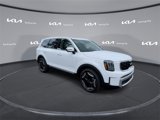 New 2025 Kia Telluride EX image 2