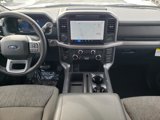 New 2025 Ford F150 XLT w/ Equipment Group 302A MID image 2