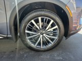 New 2025 INFINITI QX60 Autograph w/ Lighting Package (N94) image 5