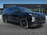 New 2025 Hyundai Palisade Calligraphy image 2