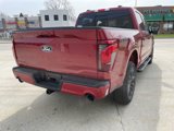 New 2025 Ford F150 XLT image 4