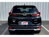 Used 2020 Honda CR-V EX-L image 4