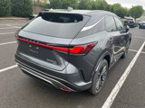 New 2025 Lexus RX 350h image 3