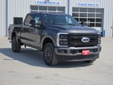 New 2025 Ford F250 Platinum image 2