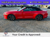 Used 2022 Ford Mustang Premium image 2