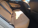 New 2026 Lexus NX 350 AWD w/ Premium Package image 5