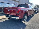 New 2025 Ford F150 XLT w/ Equipment Group 302A MID image 4